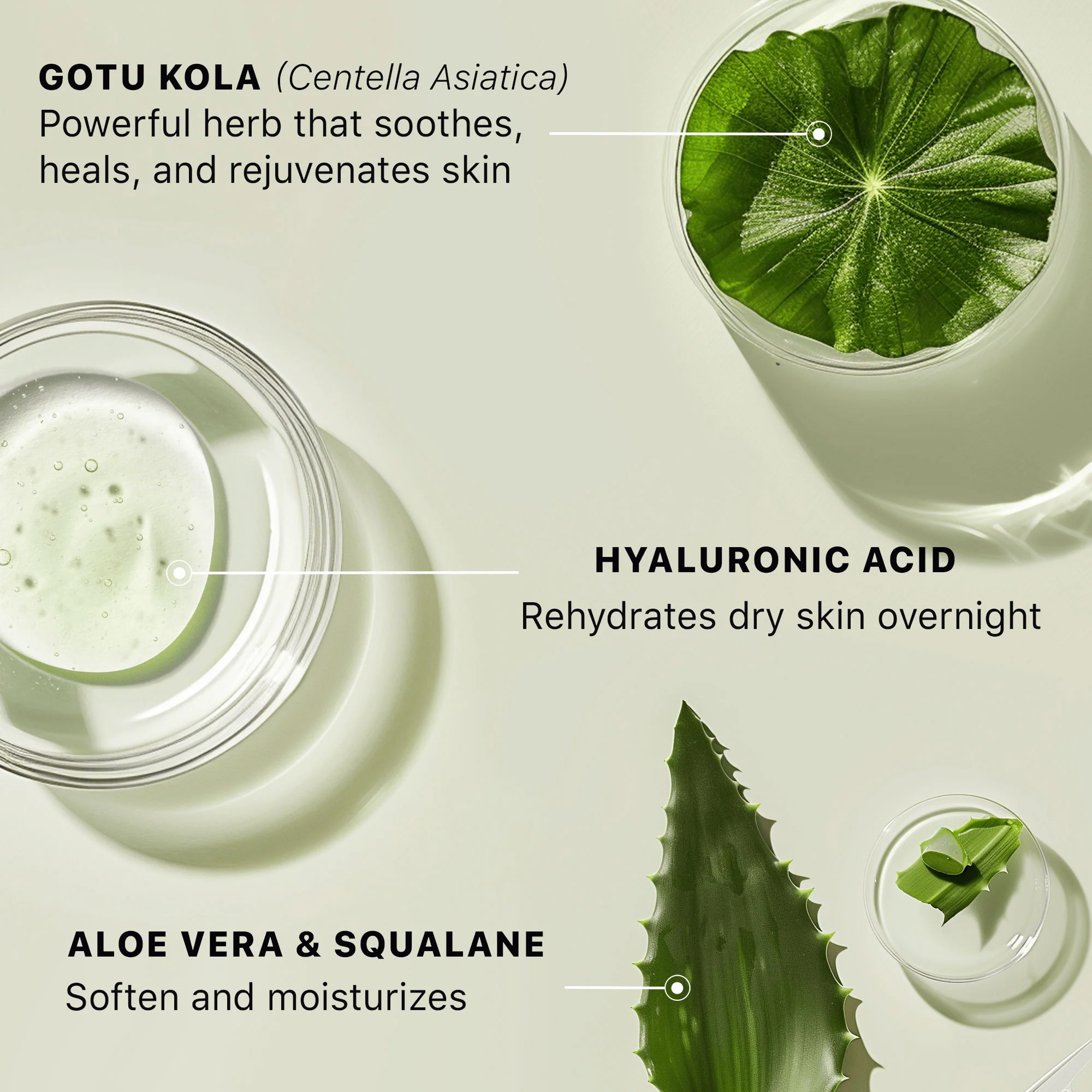 Hyaluronic Acid Face Cream - Image 6