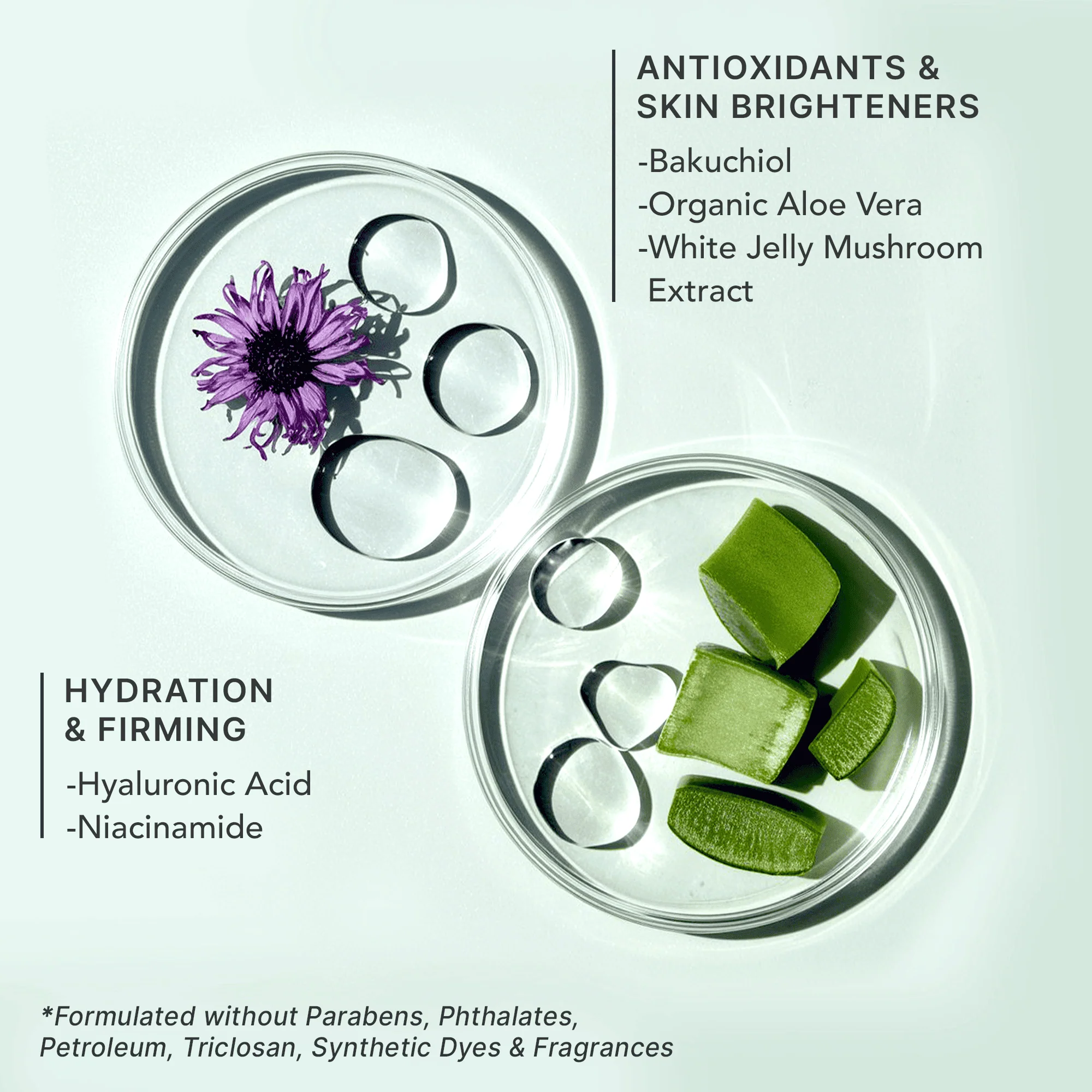 YouthRestoration Bakuchiol Face Moisturizer - Image 9